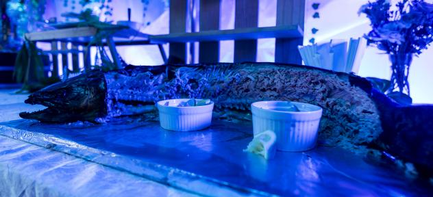 кейтелинг 15