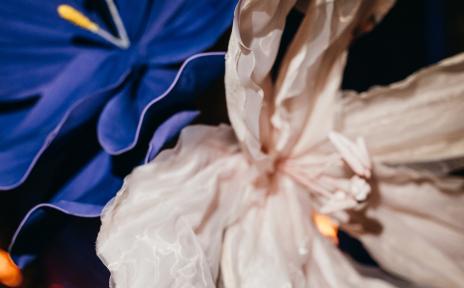 флористика 14