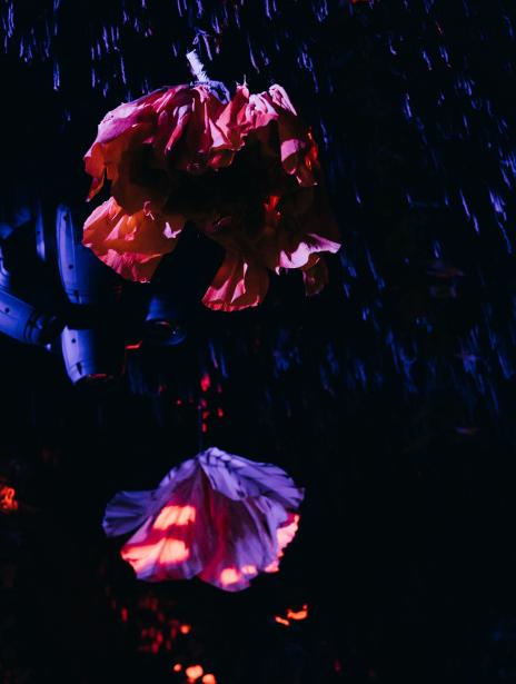 флористика 19