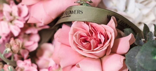 флористика 5