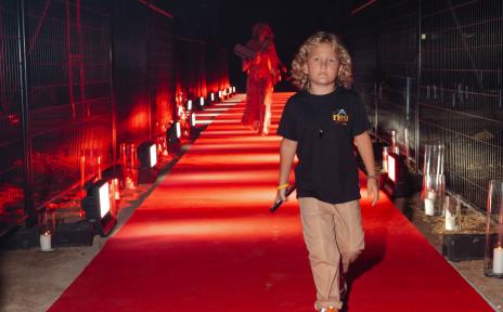 красная ковровая дорожка 26