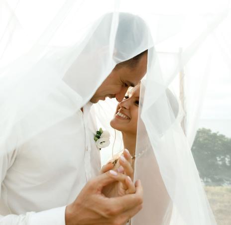 молодожены 47