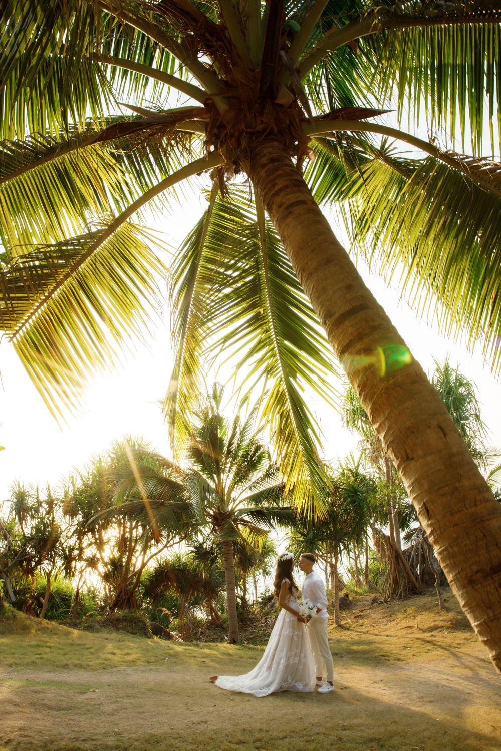 молодожены