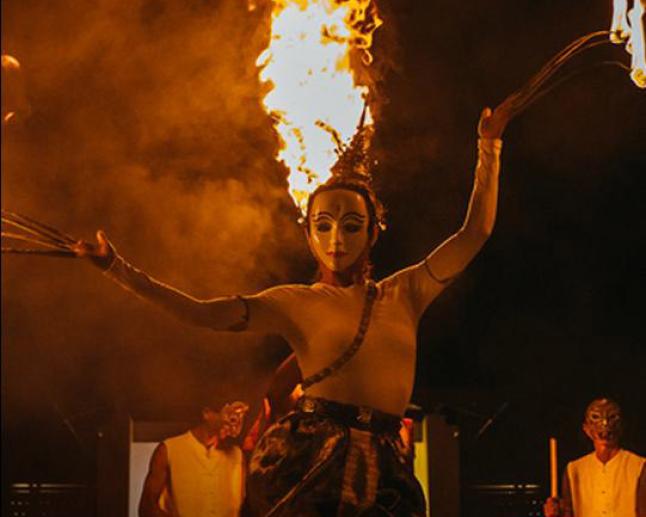 Шоу и Артисты