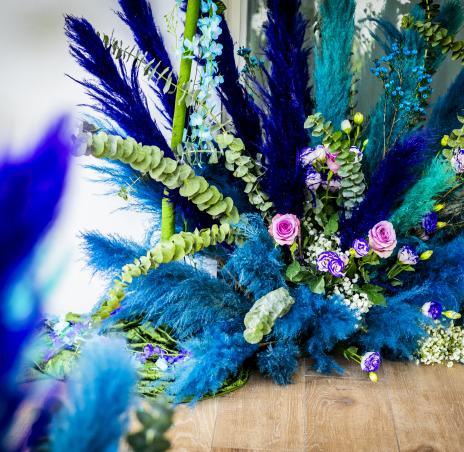 флористика 17