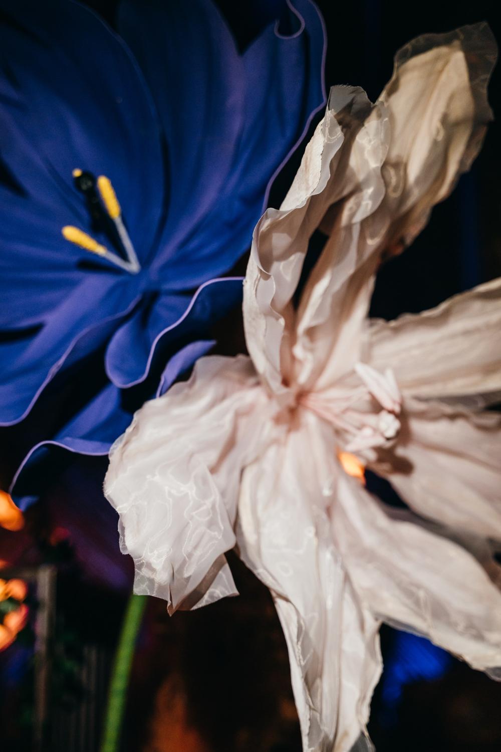 флористика