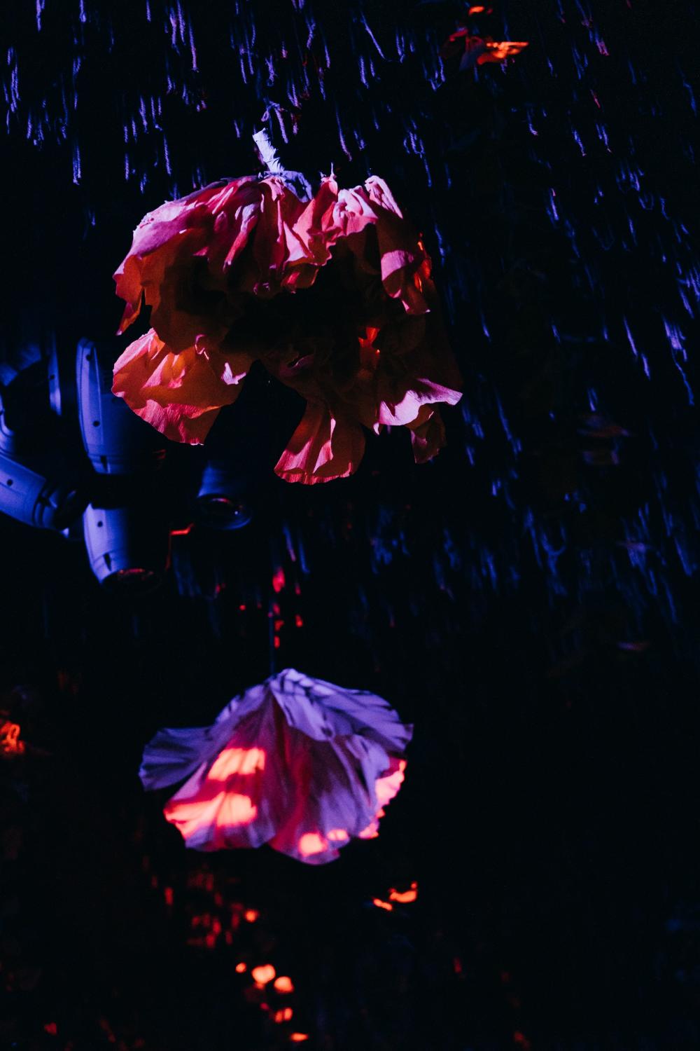 флористика