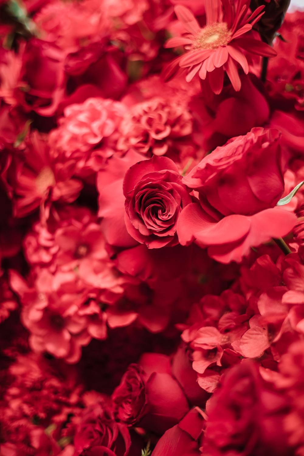 флористика