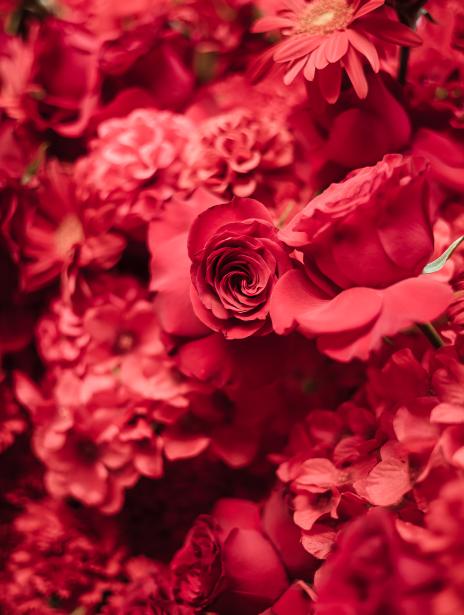 флористика 9