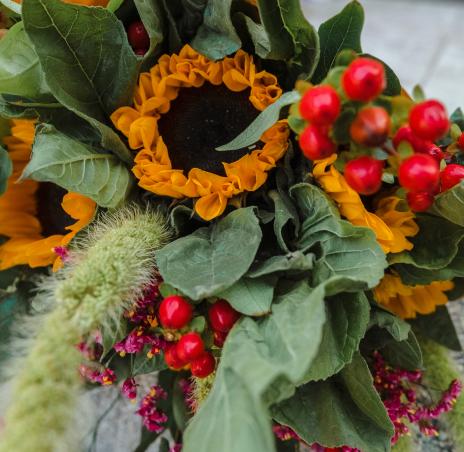 флористика 13