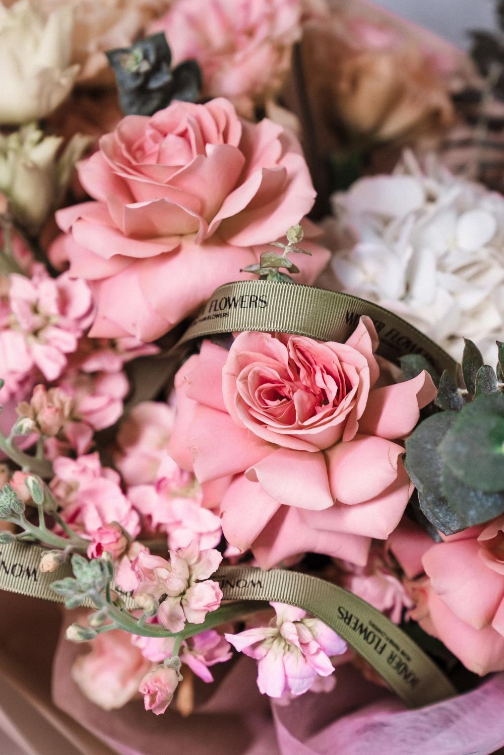 флористика