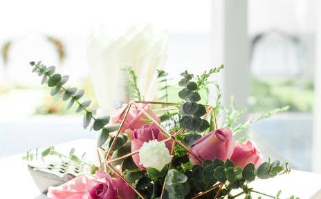 флористика 26