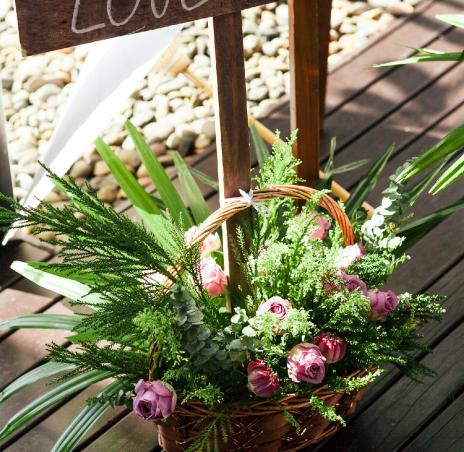 флористика 23