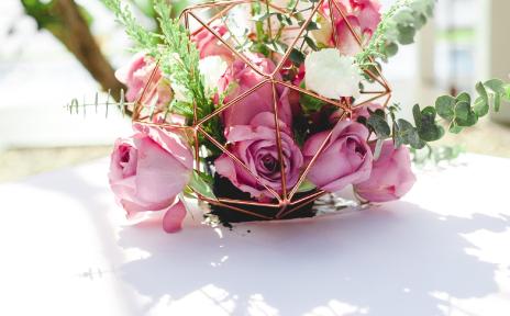 флористика 24