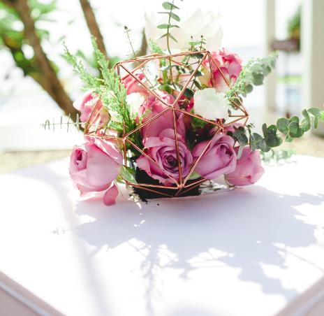 флористика 27