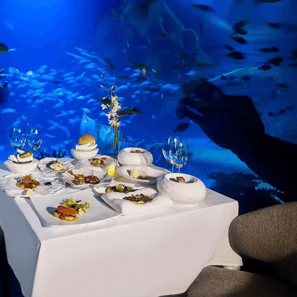 Роскошный ресторан в окружении аквариума с акулами скатами и другими морскими представителями